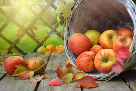 Top 5 Japanese Fruits to Eat in the Fall
