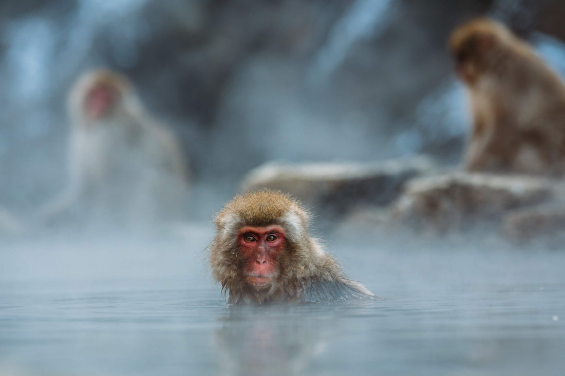 Japan Bath Culture “Ofuro”