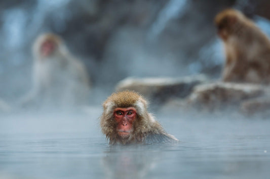 Japan Bath Culture “Ofuro”