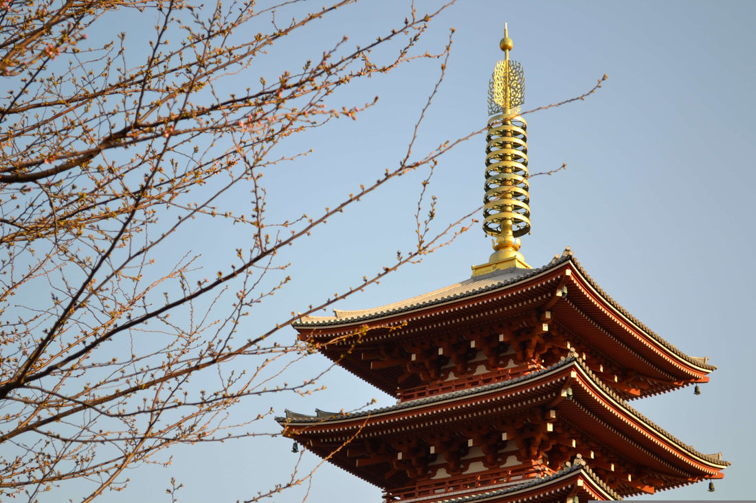 Add to your bucket list! 5 Attractions of the “Jinrikisha” (Japanese Rickshaw)