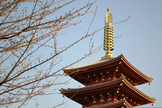 Add to your bucket list! 5 Attractions of the “Jinrikisha” (Japanese Rickshaw)