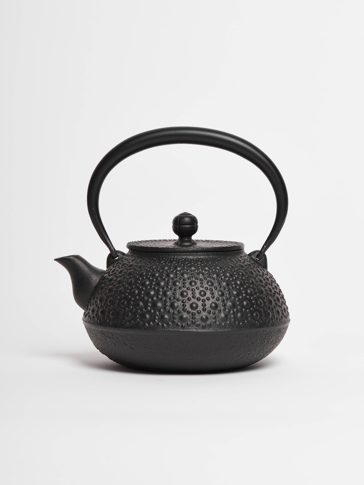 iwachu-nambu-cast-iron-teapot-arare-1